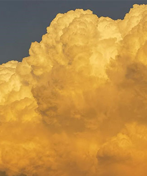 家政阿姨要用心流链知识与雇主交心共情